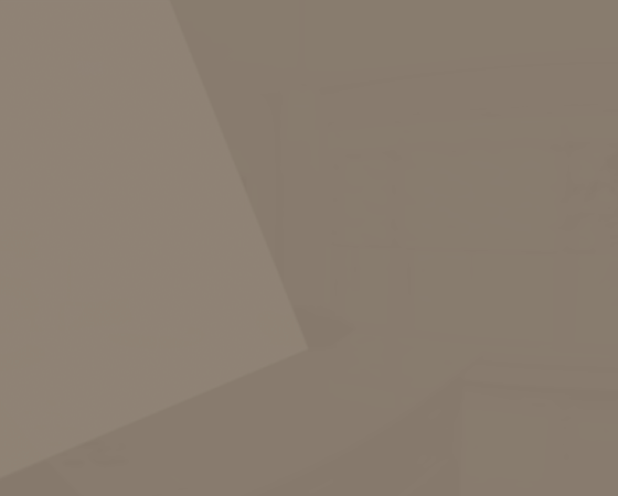 Premium Acrylic - 7370 Vizon