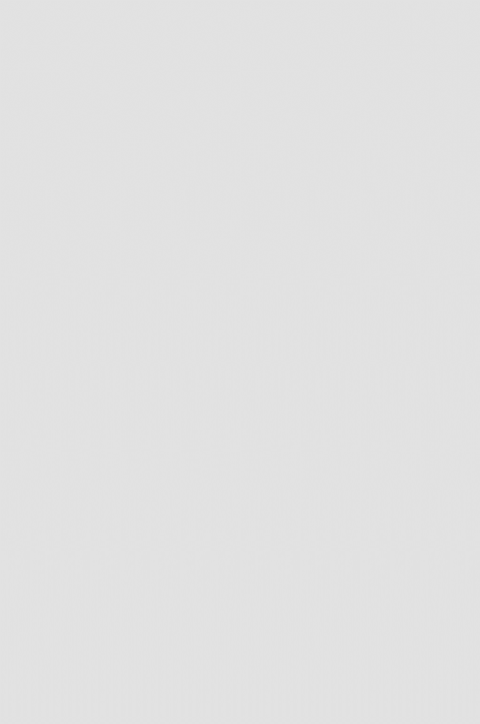 250 Parlak Metalik Gri