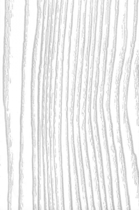 1217 Doğal Gümüş